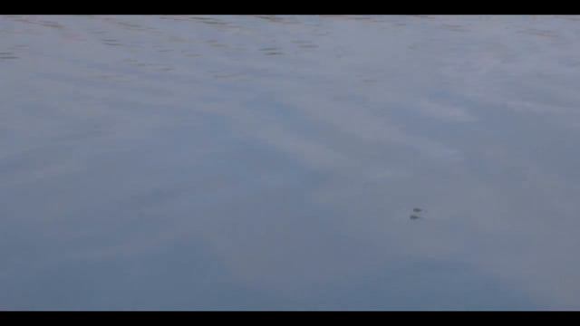 Обзор рыболовных мест г. Запорожье КУШУГУМСКИЕ ПЛАВНИ смотреть онлайн