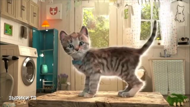 Куклы Пупсики играют в игру-мультик про Котенка "Костюмированная вечеринка" на канале Зырики ТВ