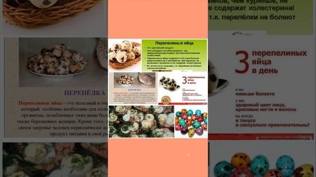 Это просто невероятно! Перепелиные яйца - мощное лекарство от множества заболеваний!
