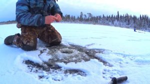 Первый лед, Лагозеро, Спортивная рыбалка.