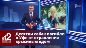 Десятки собак погибли в Уфе от отравления крысиным ядом