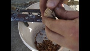 Самый крутой Орехокол своими руками!The coolest Orekhokol do it yourself!