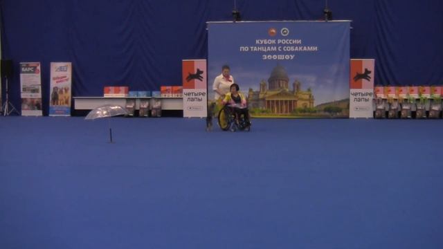 Para dance - Иванова Ксения Валерьевна и Цвергшнауцер МИНИ-МАКСИ-МАЙЯ смотреть онлайн