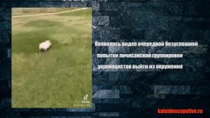Видео очередной безуспешной попытки личисанской группировки укронацистов выйти из окружения)))