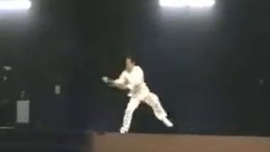 Чжань ма дао (10).flv