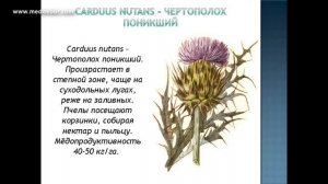 Занятие №7 /1  Курсы В Г  Кашковского