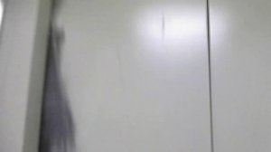 Застрял в Щербинском лифте (ЩЛЗ-400 кг) 2013 г. (дата съёмки 05.12.2018 г.)