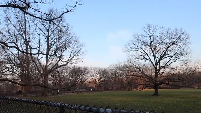 ЖИЗНЬ В НЬЮ-ЙОРКЕ. ПРОГУЛКА В ЦЕНТРАЛЬНОМ ПАРКЕ. {DARY YORK} смотреть онлайн