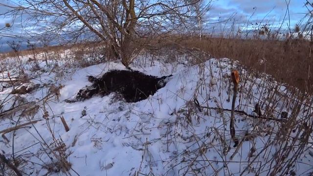 Охренеть!!! Нашли Мега Большущего Кабана!!! Выдирали УАЗОМ!!! Суперский МеталлоКоп с Друзьями 202 смотреть онлайн