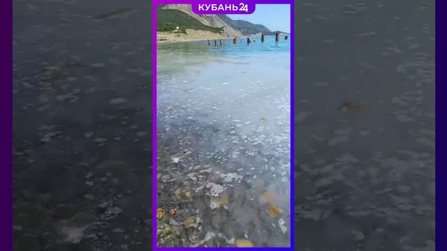 Море стало белым из-за полчища медуз около Анапы