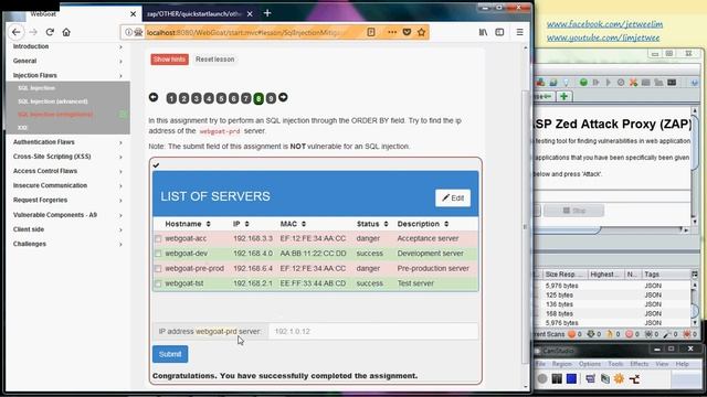 OWASP WebGoat 8 - SQL (Structured Query Language) Injection - Mitigation смотреть онлайн