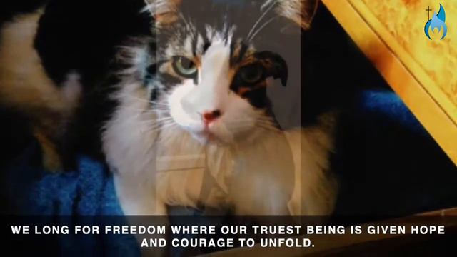 Lundberg's "Your Love, O God" feat Phil Jones смотреть онлайн