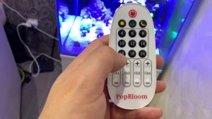 Как настроить светильник Popbloom Shannon40! Морское освещение для начинающих! Бюджетный свет в мор