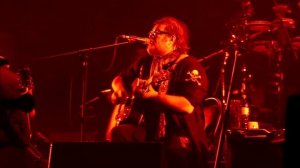 Аквариум - Ласточка