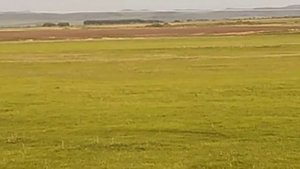 нохияи уст-калманка дехаи новокалманка уст-калмански раён село новокалманка
