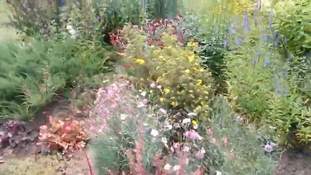 О цветах и о делах в начале июля. смотреть онлайн