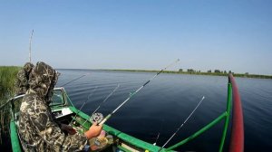 Рыбалка, Чаны, КЛЮЁТ КАК ИЗ ПУЛЕМЁТА, карась, сазан, язь, зеркальный карп