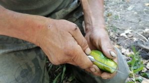 Лесные люди. Жареная картошка с грибами. Кухня отшельников