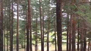 Боровое Поляна Абылай Хана .