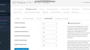 Canonical URL Opencart, модуль SEO бесплатно, устранение дублей категории, оптимизация сайта.