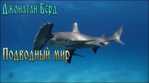 06. Подводный мир