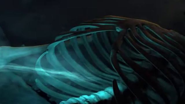 Diablo III Rise of the Necromancer Pack Reveal – BlizzCon 2016 смотреть онлайн