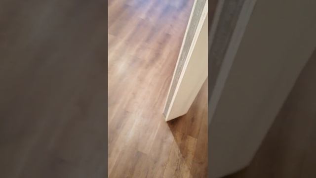 линолеум ivs в 2-х комнатной квартире. смотреть онлайн