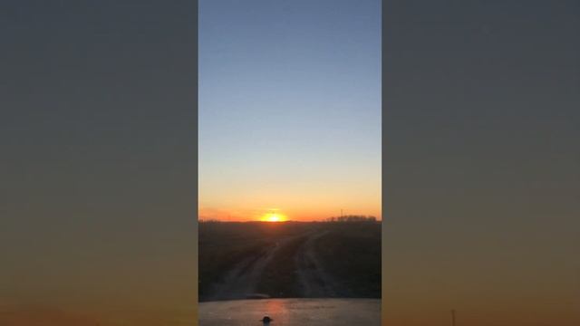 Солнце садилось #осеннийзакат#солнышкосадолось#красныйзакат#красноесолнце#солнцегоризонт# смотреть онлайн