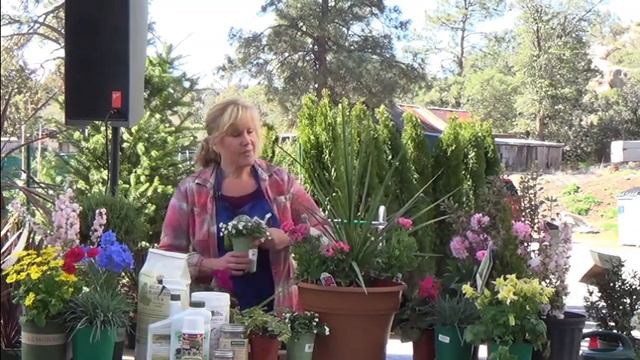 03 21 15 Advanced Container Gardening смотреть онлайн