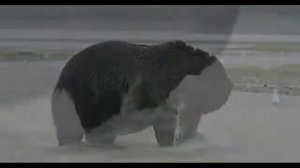 А вы видели как медведь ловит рыбу в воде?