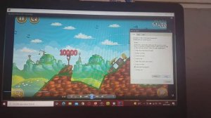 Angry Birds Classic Level Cleared Has BSOD