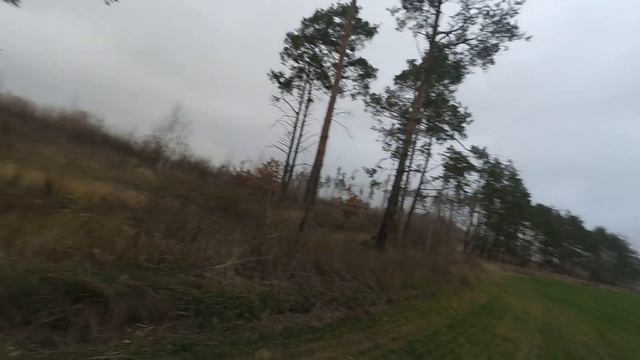 Полювання на зайця!!!Неочикована знахідка!!!Фортануло!!!