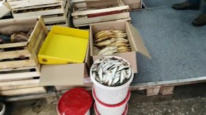 Обзор рыбного рынка Омск! Лучшие цены на копчёную и солёную рыбу! Цены январь 2021!???