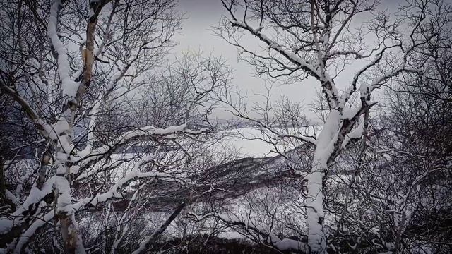 приключения снобаки |влог#4| Suzuki vortex 137" | Yamaha snowrider 137" смотреть онлайн