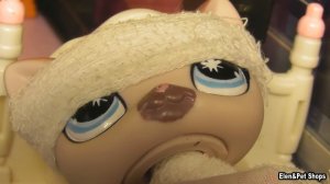 LPS фильм: Подруга с тараканами