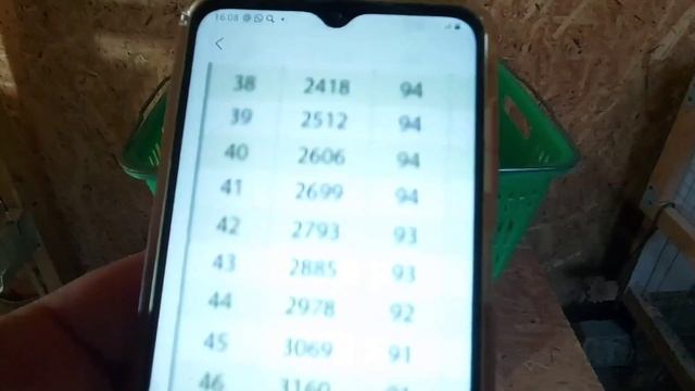 Вес бройлеров в 41 день. Крупный бройлер. Выращивание бройлеров осенью. Broiler weight in 41 days