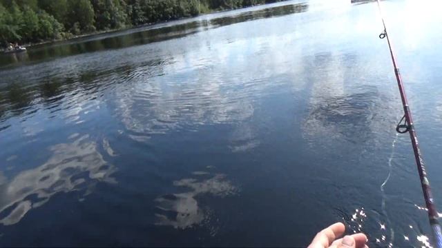 РЫБАЛКА НА КРАСНУЮ РЫБУ / ЛОВЛЯ ФОРЕЛИ НА СПИННИНГ FISHING FOR RED FISH / TROUT FISHING ON SPINNING