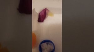 ЧЕМ И КАК КОРМИТЬ МУХ/В ДОМАШНИХ УСЛОВИЯХ/И ПОЧЕМУ КОММЕНТАРИИ БЫВАЮТ ОТКЛЮЧЕНЫ/