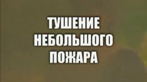 природные пожары