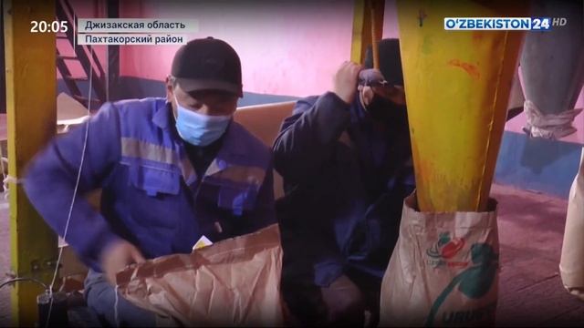 Работа по подготовке семян хлопчатника в Джизаке смотреть онлайн