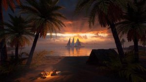 Футаж Бесплатно Пляж Море Пальмы Костер | FOOTAGE FREE Beach Sea Palm Trees Bonfire