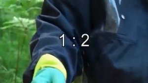 Neomid 570   Удалитель ржавчины