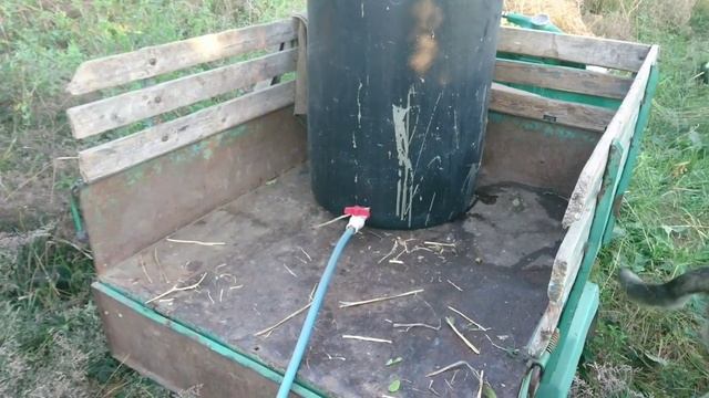 Мою забрус и скармливаю медовую сыту.