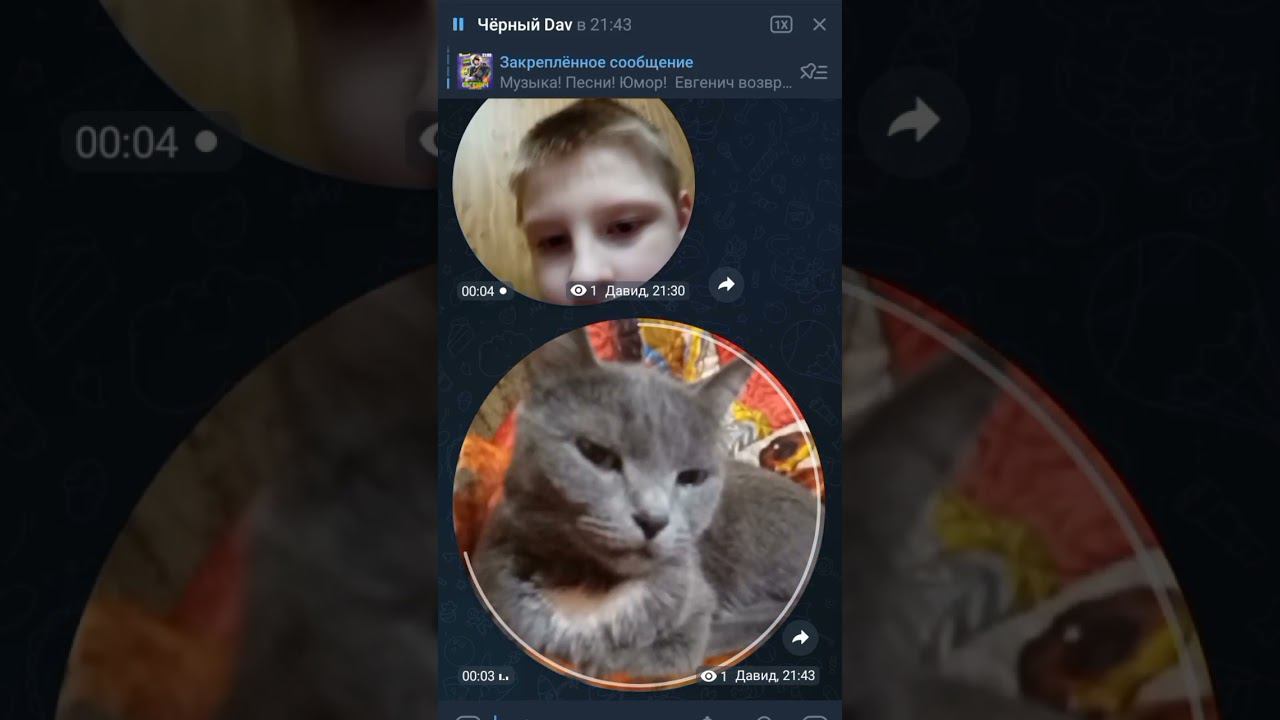 Муся поздравляет всех девушек с 8 марта! смотреть онлайн