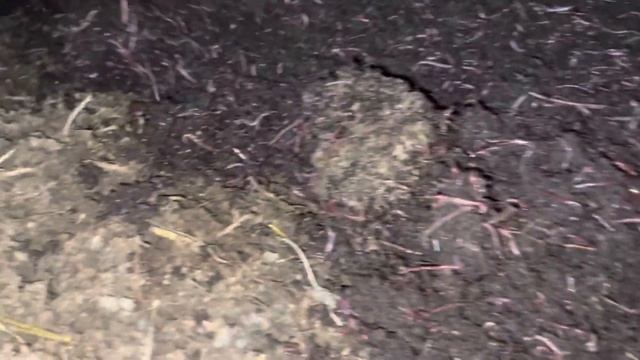 Buxoro Viloyati Peshku Tumaniga Bo’ldi Safarimiz