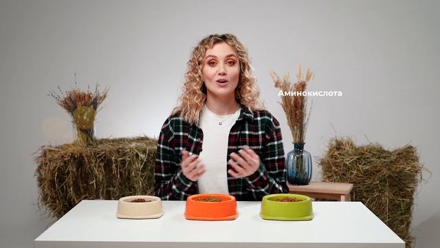 Корм для кошек Country Snack / Российское производство / Саша знает смотреть онлайн