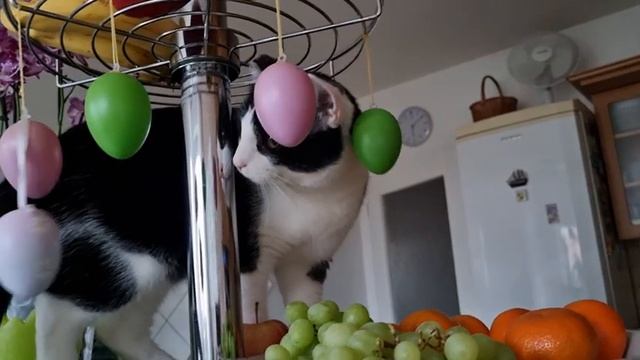 Католическая Пасха в Чехии. смотреть онлайн