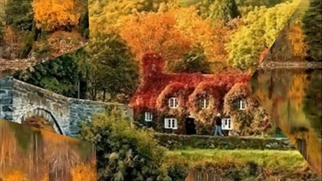 SUPERB AUTUMN смотреть онлайн