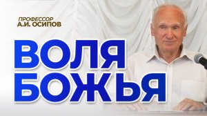 Как поступить по воле Божией? Что такое Божья воля? Как принять правильное решение? / А.И. Осипов