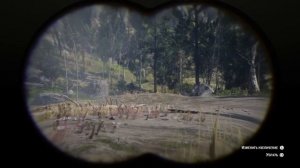 Превосходная Шкура Лисы. Red Dead Redemption 2.